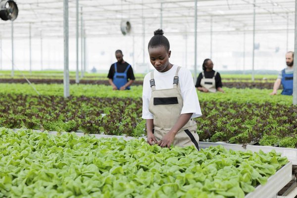 Quelles méthodes les écoles de musique peuvent-elles utiliser pour enseigner les traditions musicales du monde ?