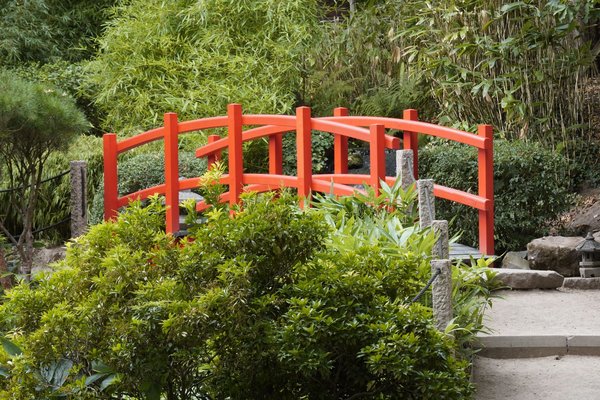 Comment réussir une transition de carrière vers la consultance en agriculture urbaine ?